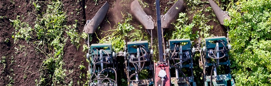 New haulm killing machine from Denmark 2 Danish company MSR Plant Technology markets a potato killing machine