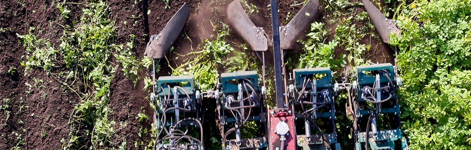 Het Deense bedrijf MSR Plant Technology brengt een aardappeldodingsmachine op de markt